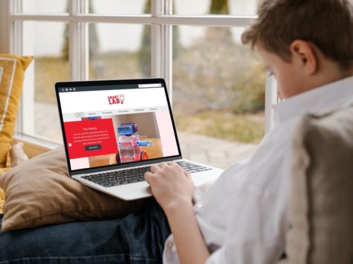 SmartLab Toys